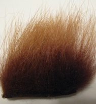 polar bear brown standart